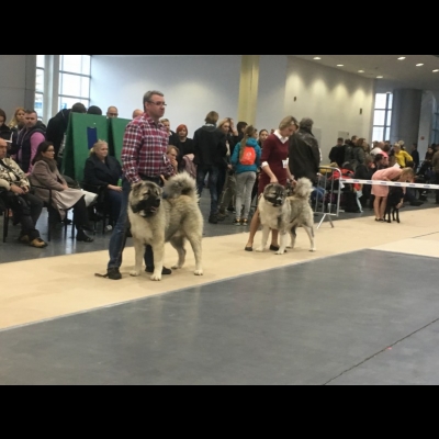IDS POZNAŃ'18 - BALDUR i BAGIRA